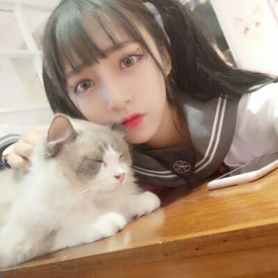龙之传奇无限钻石版下载